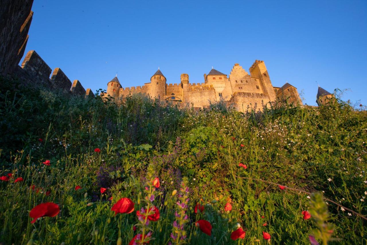 Tout Confort ! Climatisation, Centre-Ville, Parking, Terrasse, Wifi, Netflix Carcassonne Bagian luar foto