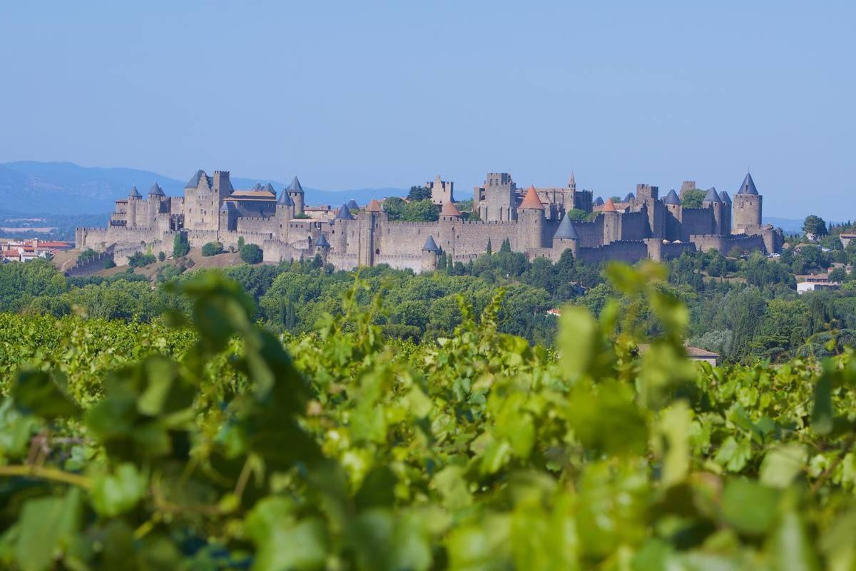 Tout Confort ! Climatisation, Centre-Ville, Parking, Terrasse, Wifi, Netflix Carcassonne Bagian luar foto