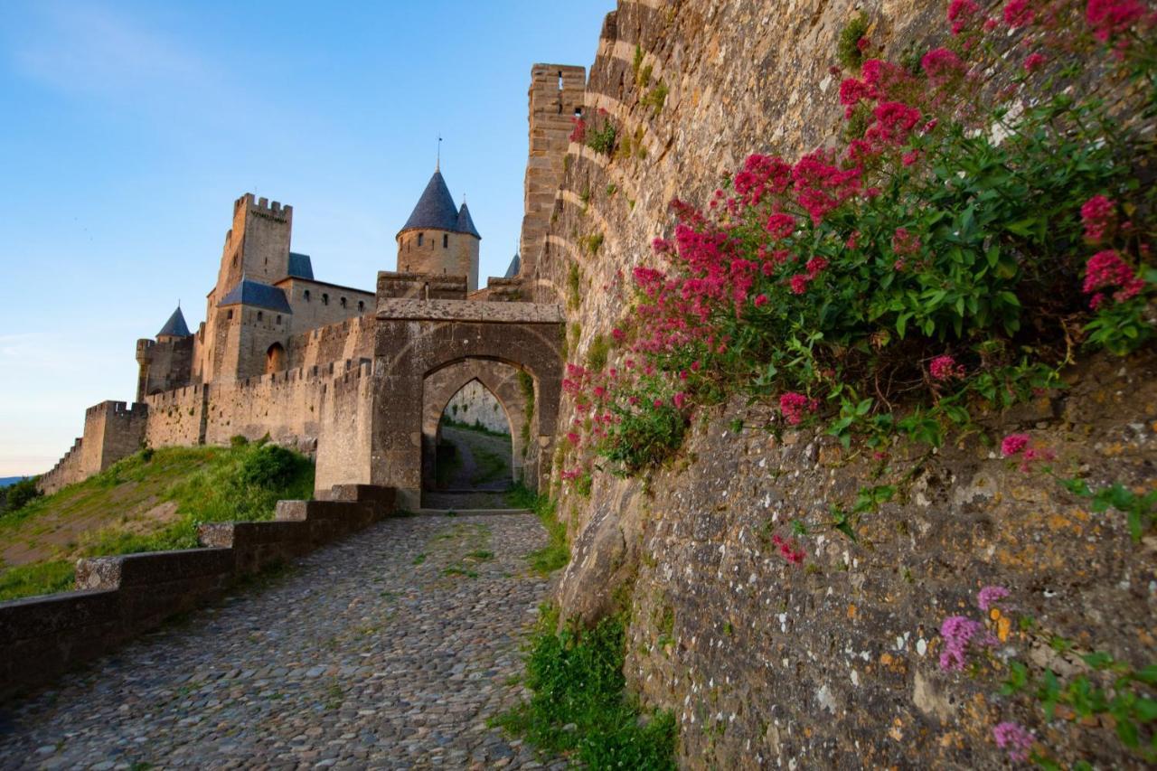 Tout Confort ! Climatisation, Centre-Ville, Parking, Terrasse, Wifi, Netflix Carcassonne Bagian luar foto