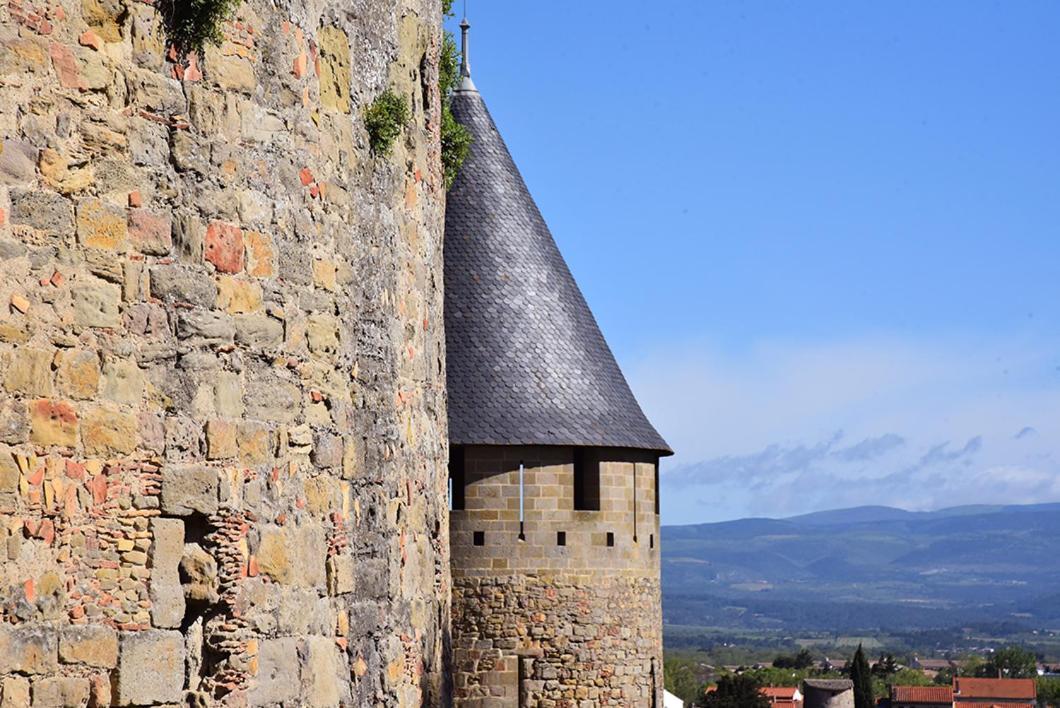 Tout Confort ! Climatisation, Centre-Ville, Parking, Terrasse, Wifi, Netflix Carcassonne Bagian luar foto