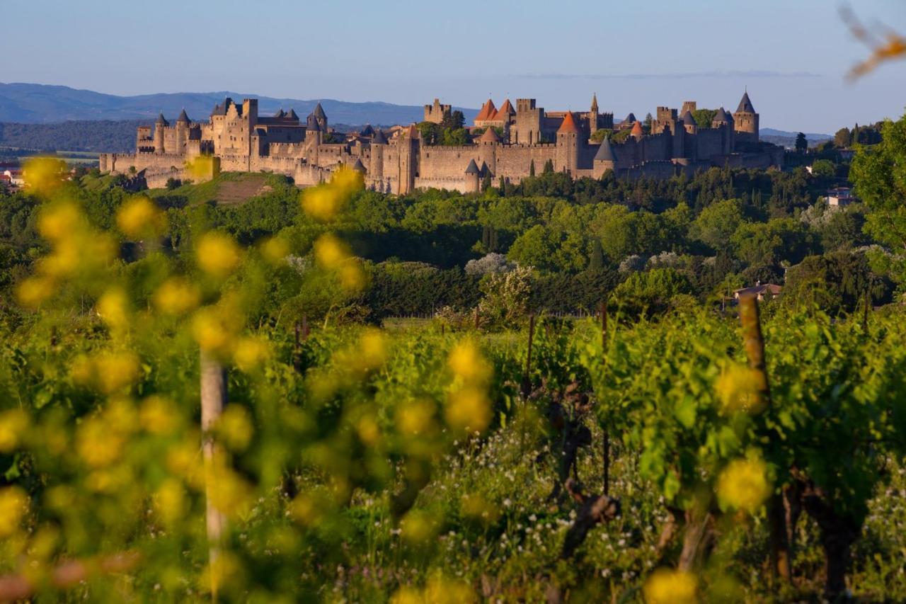 Tout Confort ! Climatisation, Centre-Ville, Parking, Terrasse, Wifi, Netflix Carcassonne Bagian luar foto